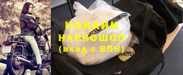 ПСИЛОЦИБИНОВЫЕ ГРИБЫ Аркадак