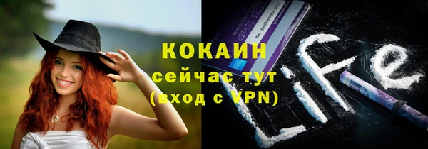 тгк Арсеньев