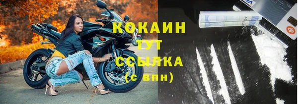 ПСИЛОЦИБИНОВЫЕ ГРИБЫ Аркадак