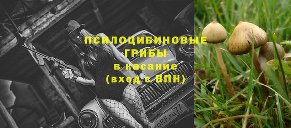 тгк Арсеньев