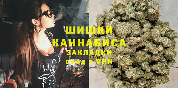 ПСИЛОЦИБИНОВЫЕ ГРИБЫ Аркадак