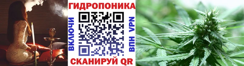 кракен как войти  Алейск  Конопля SATIVA & INDICA 